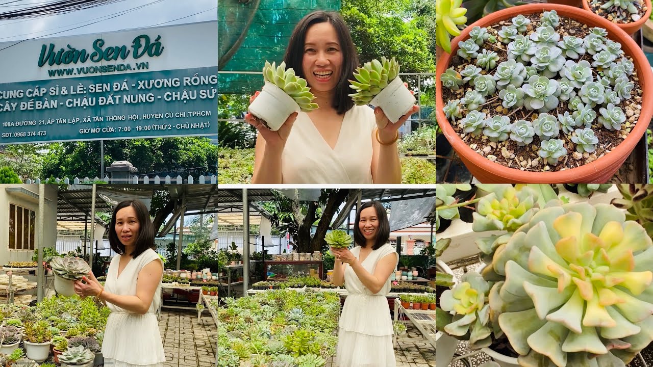 TRIP TO VIETNAM May 30, 2023 | SHOPPING SUCCULENTS AT YOUTUBE VƯỜN SEN ĐÁ