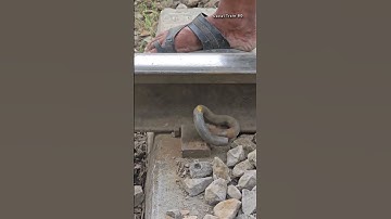 Rail Fastening Clip. #erc #clips #elastic #shorts