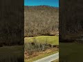 21 Acres Available at 4457 W. KY 9 in Vanceburg, KY #landforsale #landforinvestment #kentucky