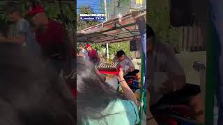 Download Lagu Students surprise 50-year-old Buko Juice vendor in Sual, Pangasinan on his birthday MP3
