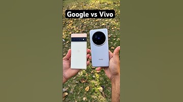 Google pixel 6 pro vs Vivo x200 pro camera test which one is better?#shorts #foryou