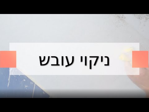 ניקוי עובש ניקוי עובש