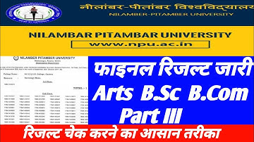 NPU फाइनल रिजल्ट जारी NPU Arts  B.Sc  B.Com Part III Results published