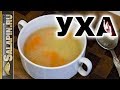 Уха из щуки: вкусный и полезный диетический рецепт [salapinru]