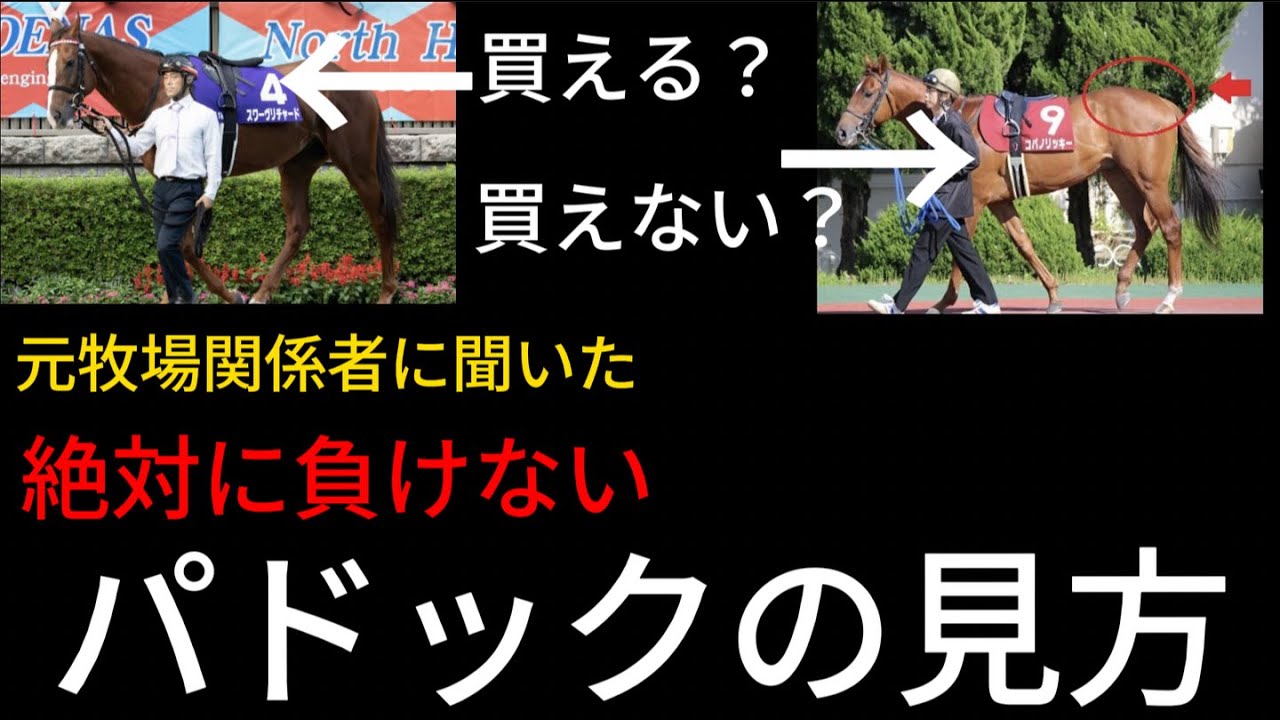 【競馬】元牧場関係者に聞いた、負けないパドックの見方とは？