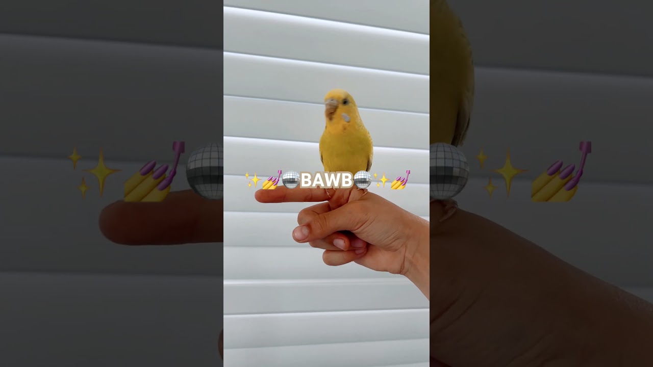 She has a good BAWB. ✨🩷💅🪩 