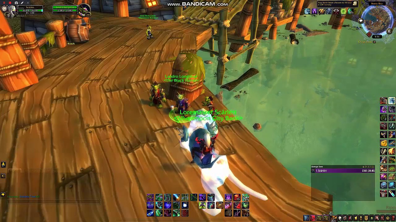 WoW Activation TCG Sandbox Tiger at Booty Bay