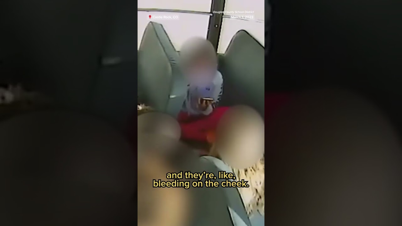 A former #Colorado school bus driver is facing 30 misdemeanor charges after brake checking children.