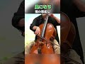 猫の恩返し『風になる』を弾いてみた | The Cat Returns - Ghibli Cello cover - #shorts