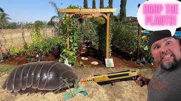 How to Keep Pill Bugs (Rollie Pollie) from Eating you Plant Starts.