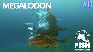 Feed And Grow Fish : Megalodon