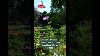 Join The Millions Of Users Who Love Temu The Top Shopping App In The U.s Resimi