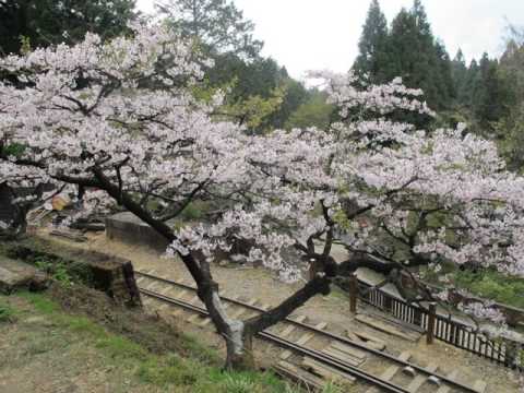 Wankou Hotel - Alishan - Taiwan