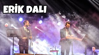 Portakal Aşılı Erik Dalı - Hüseyin Turan & Ahmet Baran Resimi