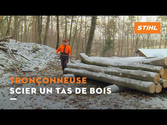 Utilisation D'une Tronçonneuse Pour Bois De Chauffage Photo stock - Image  du arbre, matériel: 216461194