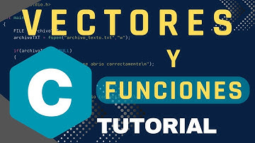 Programación en C: Vectores y funciones | parámetros de tipo vector