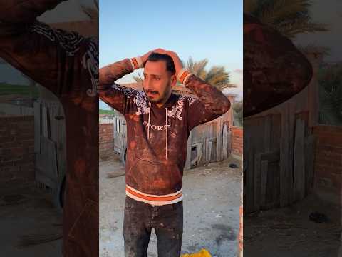 لما تشوف كلبك في حاله خطر