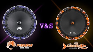 : DL Audio Piranha vs DL Audio Barracuda