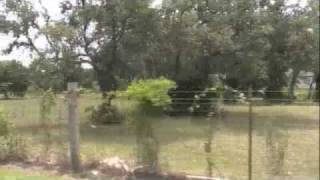 Boerne Commercial Property Net Worth