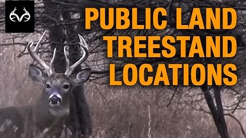 Selecting a Public Land Treestand Location