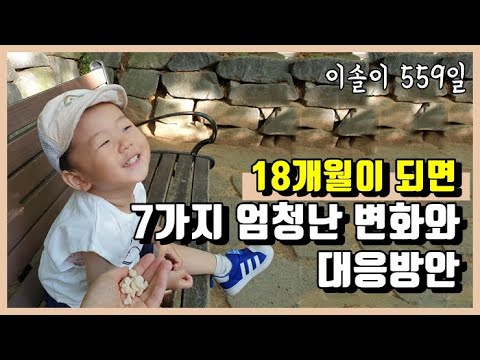 [이솔 육아 브이로그] 18개월 아기 발달에서 엄청난 변화 7가지와 부모 대응방안