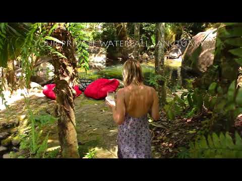 Daintree Secrets Rainforest