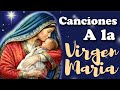 Enséñame María | Cantos a la Virgen María | Virgen del Rosario