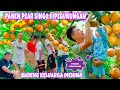 SERUNYA PANEN BUAH PEAR SINGO DIPEGUNUNGAN BARENG KELUARGA DI CHINA