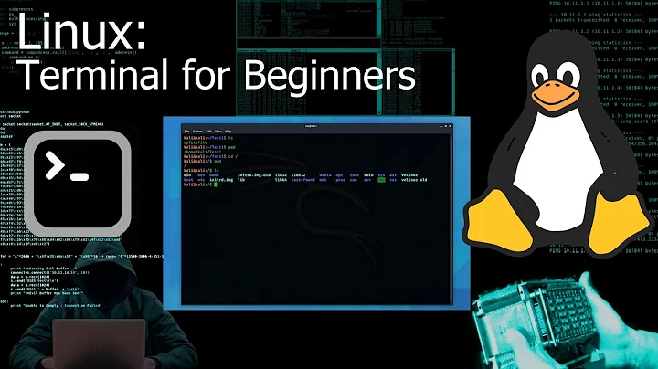 Kali Linux Terminal / Command Line for Beginners (Tutorial)