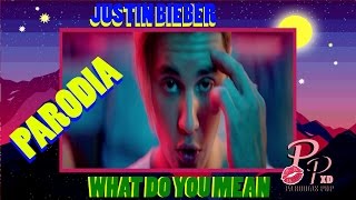 Justin Bieber - Soy Imbecil (Parodia De What Do You Mean) PARODY