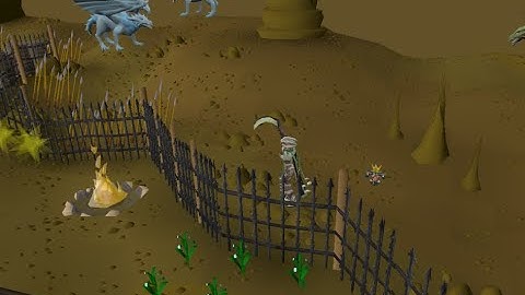 Simplicity RSPS Starter Guide: Updated 2023