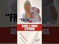 Series and cross stitch From #series #crossstitch #embroidery #flosstube