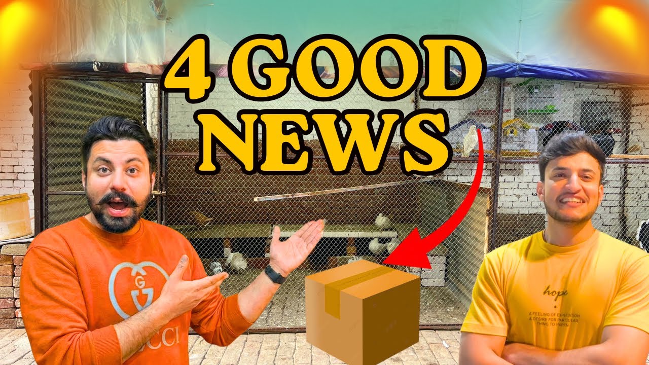 Good News Hi Good News! Mini Zoo Mein Kya Naya Aya? || #minizoo #petsvlogs 
