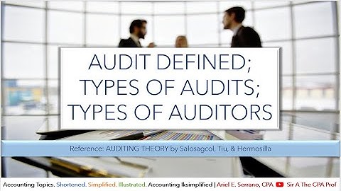 Audit Overview | Audit Defined | Types of Audits | Types of Auditors | Hermosilla, Tiu, Salosagcol