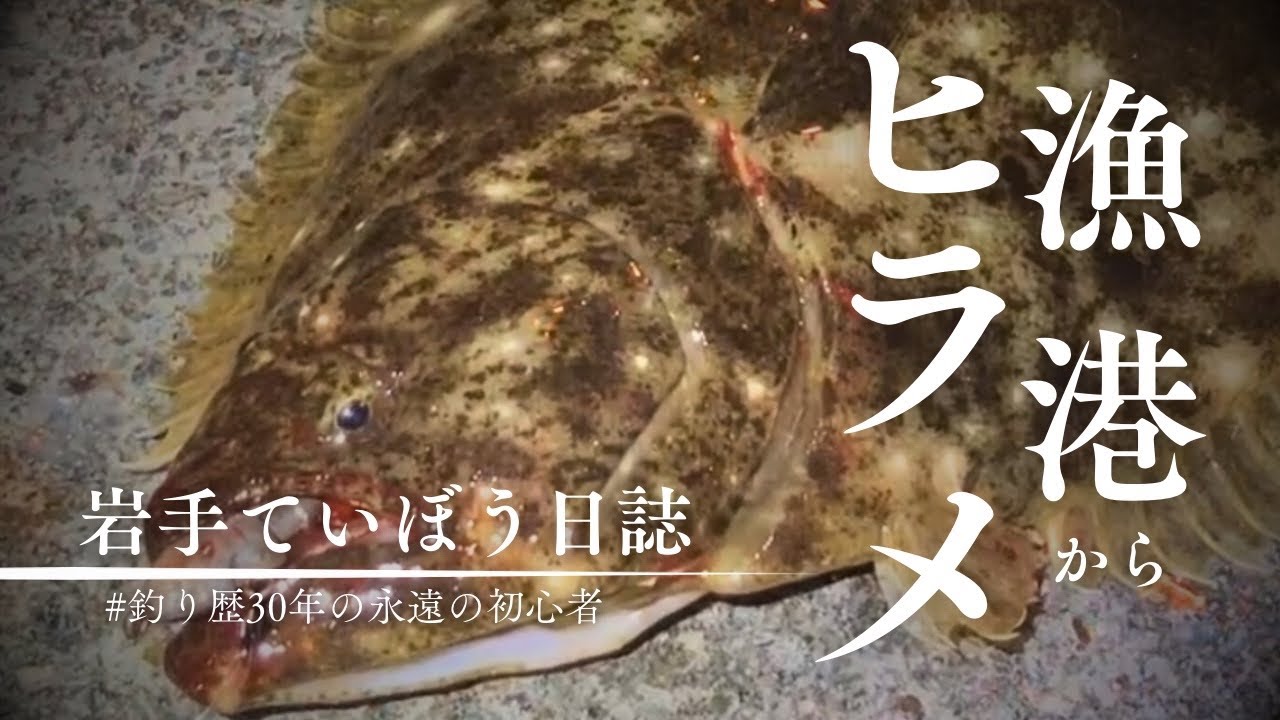 【岩手県釜石市】秋のフラットフィッシュ　湾奥の漁港からヒラメを狙う