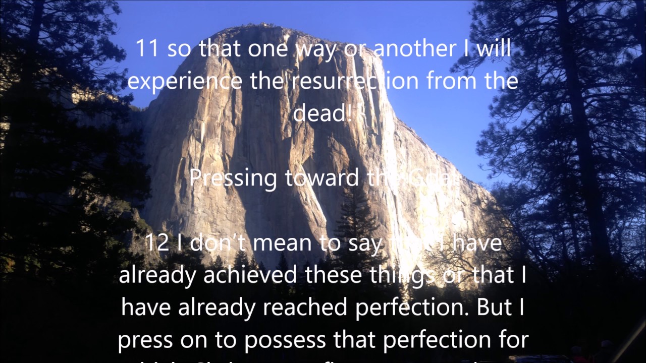 1 John 4 1 21 Nlt 1 John 4 1 21 Nlt