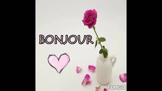 Bonjour mes amis !