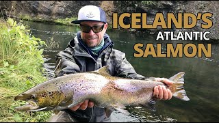 Atlantic Salmon fishing on The Mýrarkvísl River, Iceland with guide Matti from Iceland Fishing Guide