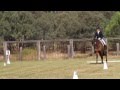 Magics pn2 dressage test at denman horse trials