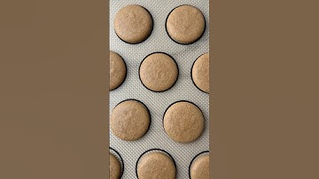 MACARON EXPERIMENTS EPISODE 4