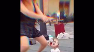 dance MousE dance