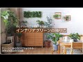 【IGTV】インテリアグリーンの飾り方～ナチュラル編