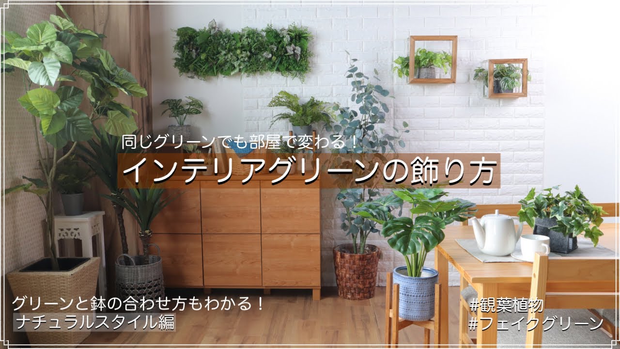 同じグリーンでも部屋で変わる インテリアグリーンの飾り方 株式会社東京堂