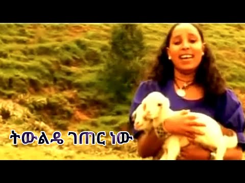 የገበሬ ልጅ ነኝ የባህል ሙዚቃ ሠላምነሽ ዘመነ EthioPurpose Selamnesh Zemene Yegebere Ljnegni Music