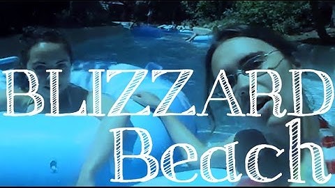 Spring 2014 DCP Vlog #18- Blizzard Beach with the little Mouse