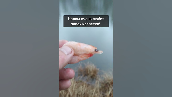 Топ 3 наживок на налима. N3 креветка