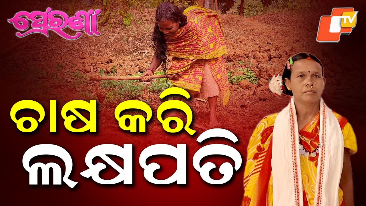 ଚାଷ କରି କେମିତି ହେଲେ ଲକ୍ଷପତି ? ଜାଣନ୍ତୁ ସମରୀ ଗାଦବାଙ୍କ କାହାଣୀ... An Inspiring Success Story