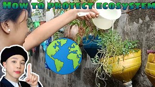 How to protect and conserve ecosystem? | Aniway E.