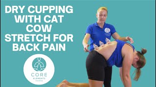 Clinical Dry Cupping Techniques: Cat Cow and Childs Pose for Back Pain