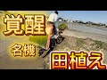 田植えの風景